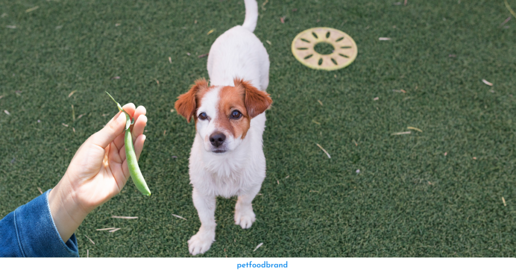 Can dogs eat snap peas