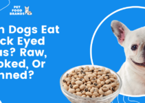 Can Dogs Eat Black Eyed Peas? Raw, Cooked, or Canned?