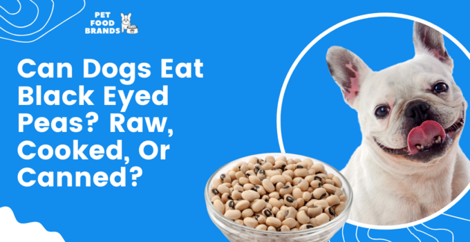 can-dogs-eat-black-eyed-peas