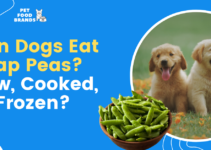 Can Dogs Eat Snap Peas? Raw, Cooked, or Frozen?