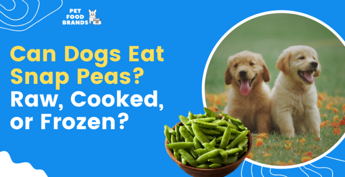 can-dogs-eat-snap-peas