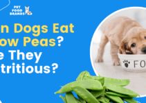 Can dogs eat Snow Peas? Are they Nutritious?