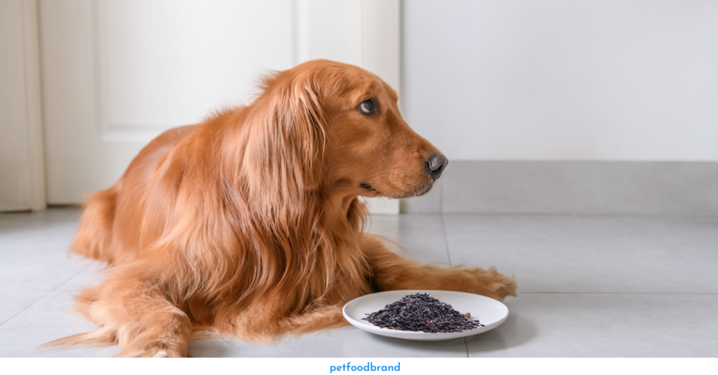 Can A Dog Have Black Rice