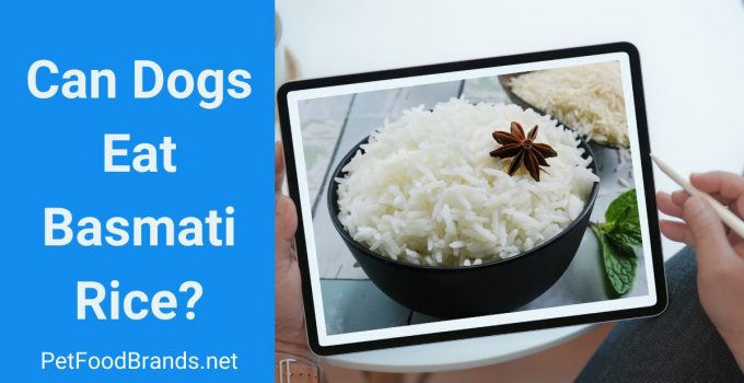 Can a Dog eat basmati Rice?