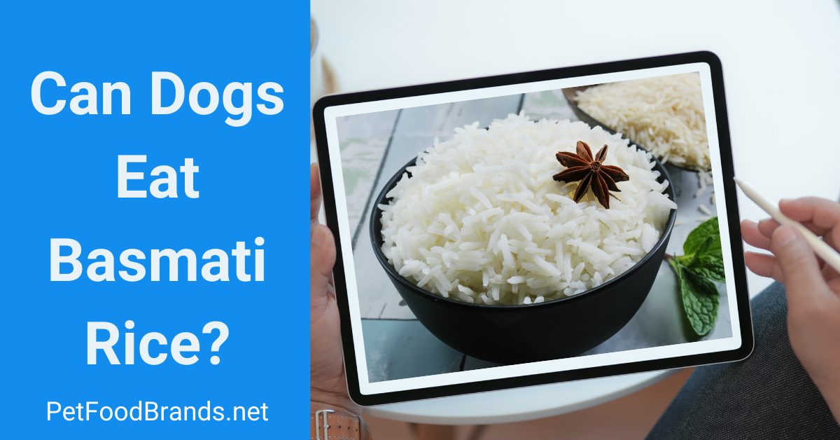 what does white rice do for dogs