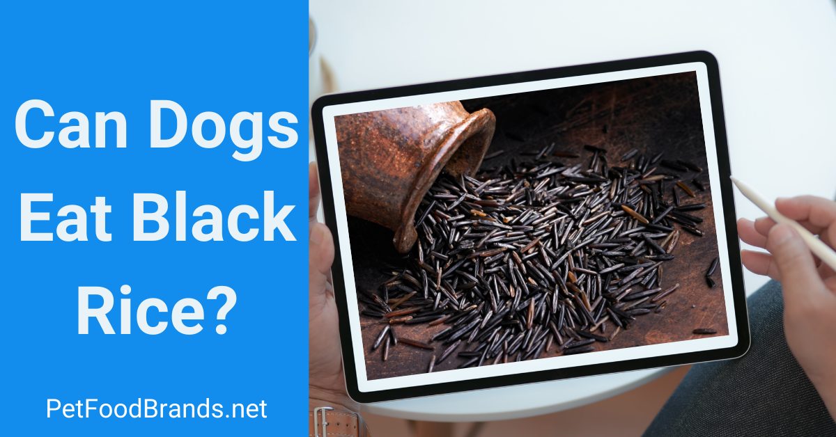 black rice for dogs