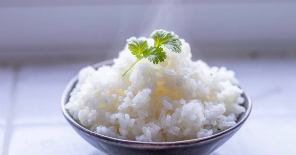 Can a dog eat Japanese rice?