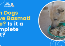 Can Dogs Have Basmati Rice? Is it a Complete Diet?