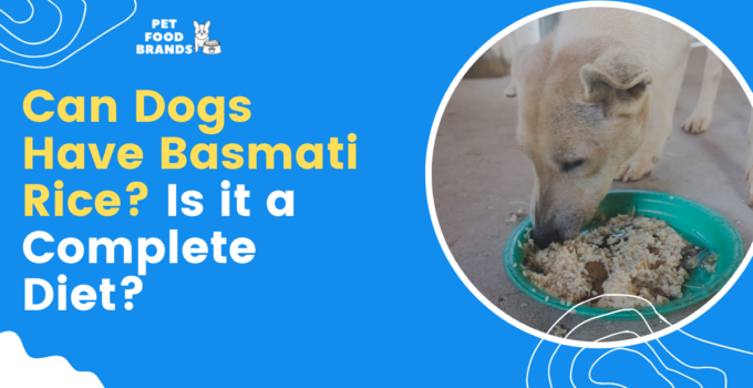 can-dogs-have-basmati-rice
