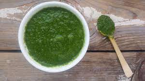 is mint sauce good for dogs?