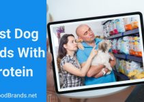 10 Best dog food with protein (2022)