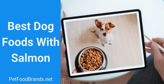 Best Dog Foods With Salmon