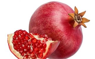 Is pomegranate safe for my dog