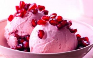 pomegranate ice cream for dog
