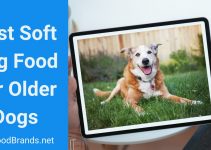 6 Best Soft Dog Foods For Older Dogs – Researched & Reviewed
