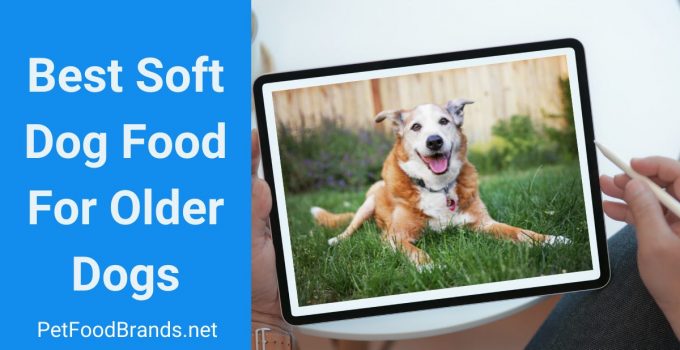 best soft dog food for older dogs