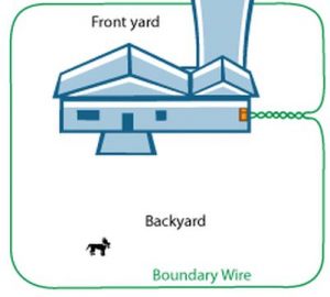 Wireless dog fence layout