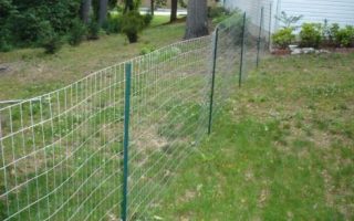 chicken wire dog fence