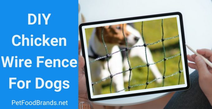 DIY Chicken wire fence for dogs