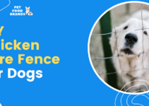 DIY Chicken Wire Fence for Dogs