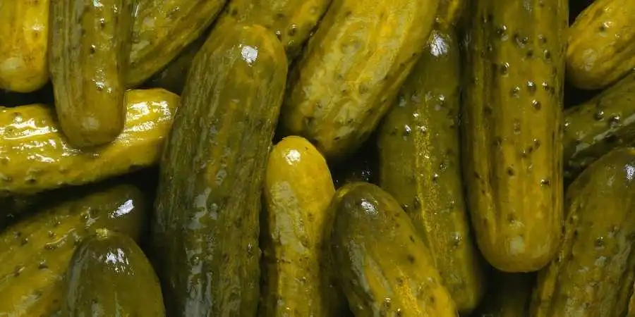 An-image-of-the-cucumber-pickles