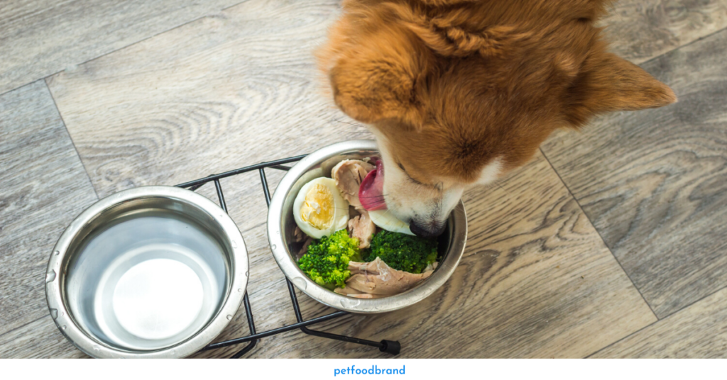 How to feed an egg to a dog