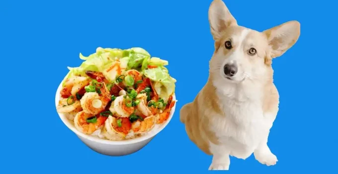 Is-shrimp-good-for-a-dog