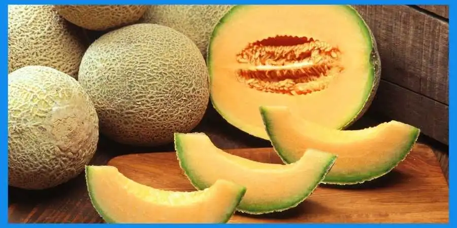 Preparing-cantaloupe-for-dogs-