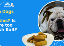 Can Dogs Eat Pickles? Is there too Much Salt?
