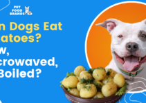 Can Dogs Eat Potatoes? Raw, Microwaved, or Boiled?