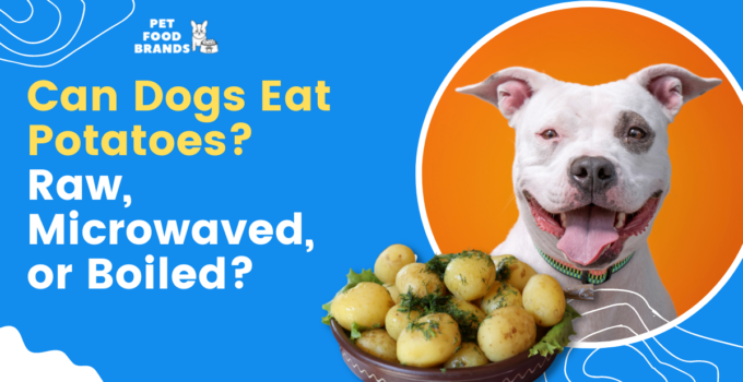 Can Dogs Eat Potatoes? Raw, Microwaved, or Boiled?