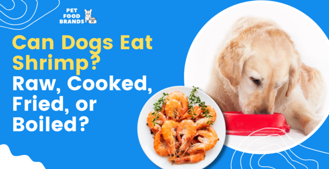 can-dogs-eat-shrimp