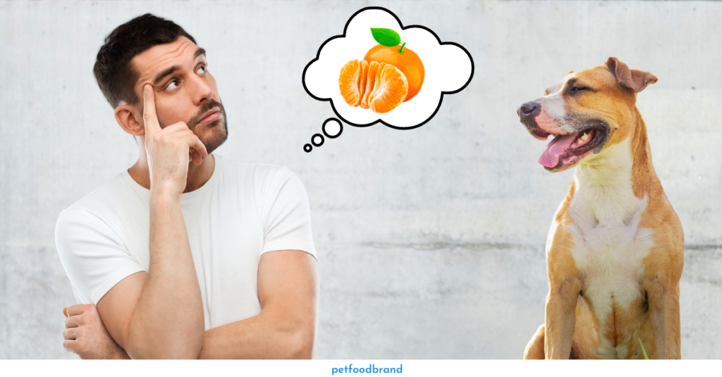 Are Mandarins Safe for Dogs