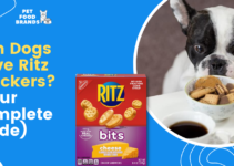 Can Dogs Have Ritz Crackers? (Your Complete Guide)
