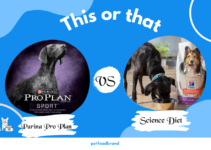 Purina Pro Plan vs. Science Diet: Which is the Best Dog Food?