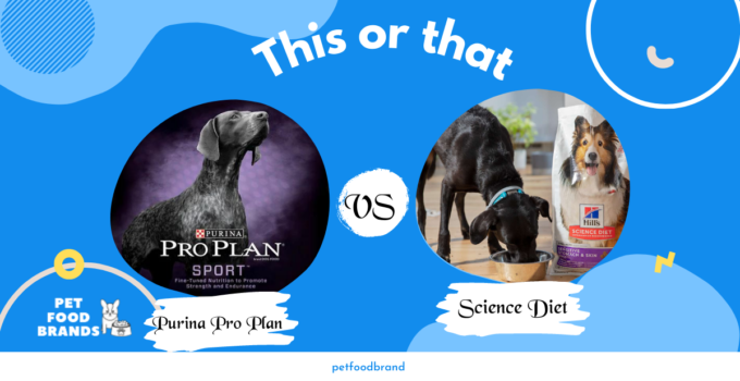 Purina Pro Plan vs. Science Diet: Which is the Best Dog Food?