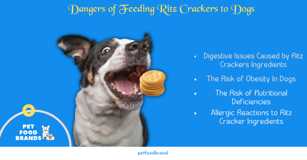 The Dangers of Feeding Ritz Crackers to Dogs