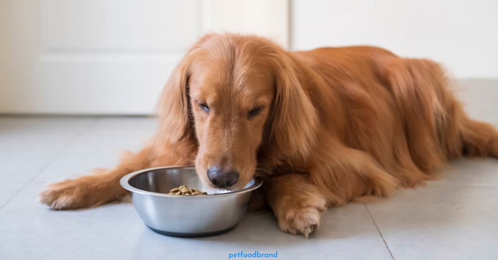 Carna4 Dog Food Feeding Guide