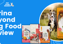 Purina Beyond Dog Food Review (2023, Updated)
