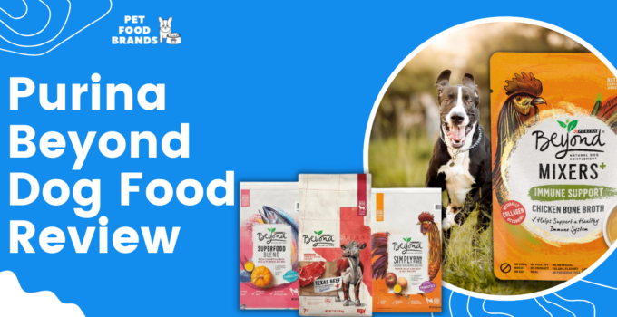 Purina Beyond Dog Food Review