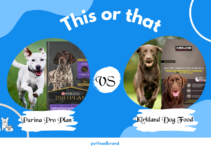 Purina Pro Plan vs. Kirkland Dog Food: Which is Better?