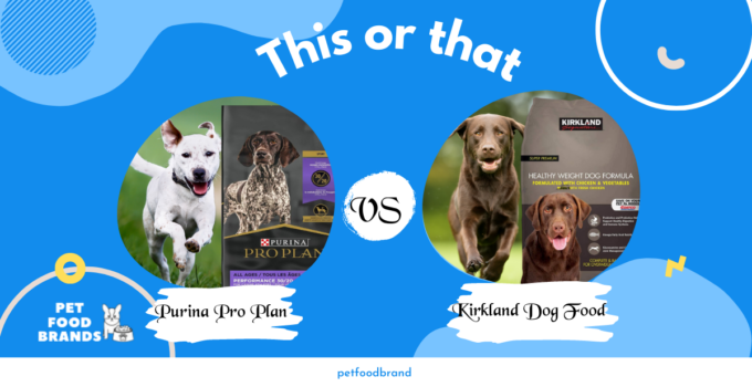 Purina Pro Plan vs. Kirkland Dog Food: Which is Better?