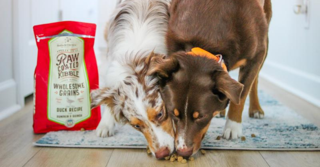 About the Brand Stella and Chewy’s Raw Coated Kibble