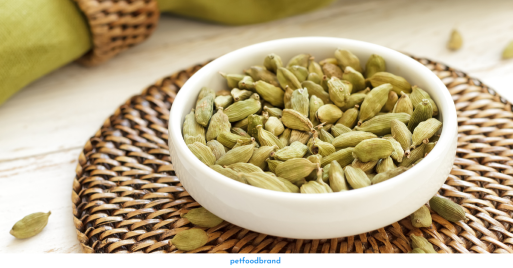 Are Cardamoms Safe for Dogs