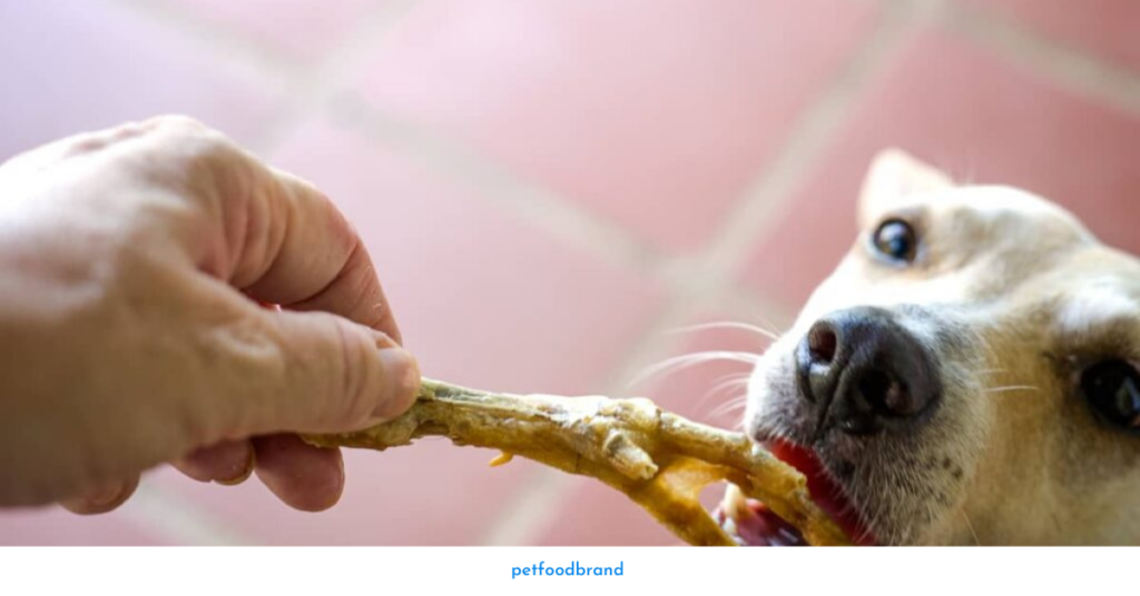 Benefits of Giving Chicken Feet to Dogs