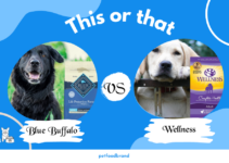 Blue Buffalo Vs. Wellness: Which Dog Food is Better?