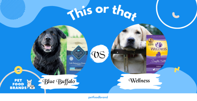 Blue Buffalo vs Wellness