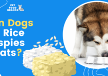 Can Dogs Eat Rice Krispies Treats?