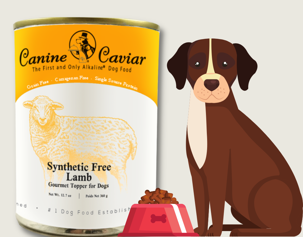 Canine Caviar Synthetic Free Lamb