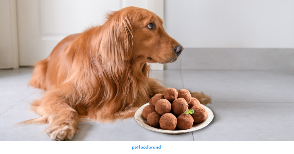 How to Serve Truffles to Your Dog
